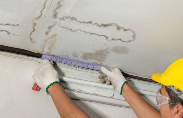 Reliable Mold Remediation contractor in Pownal, ME by Local Water Damage Repair